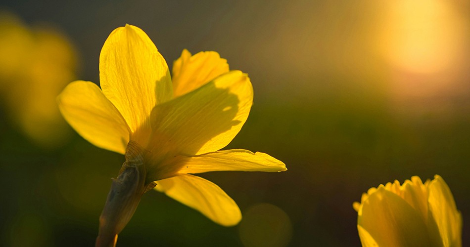 بهترین دعا در شب قدر، چه دعایی است؟